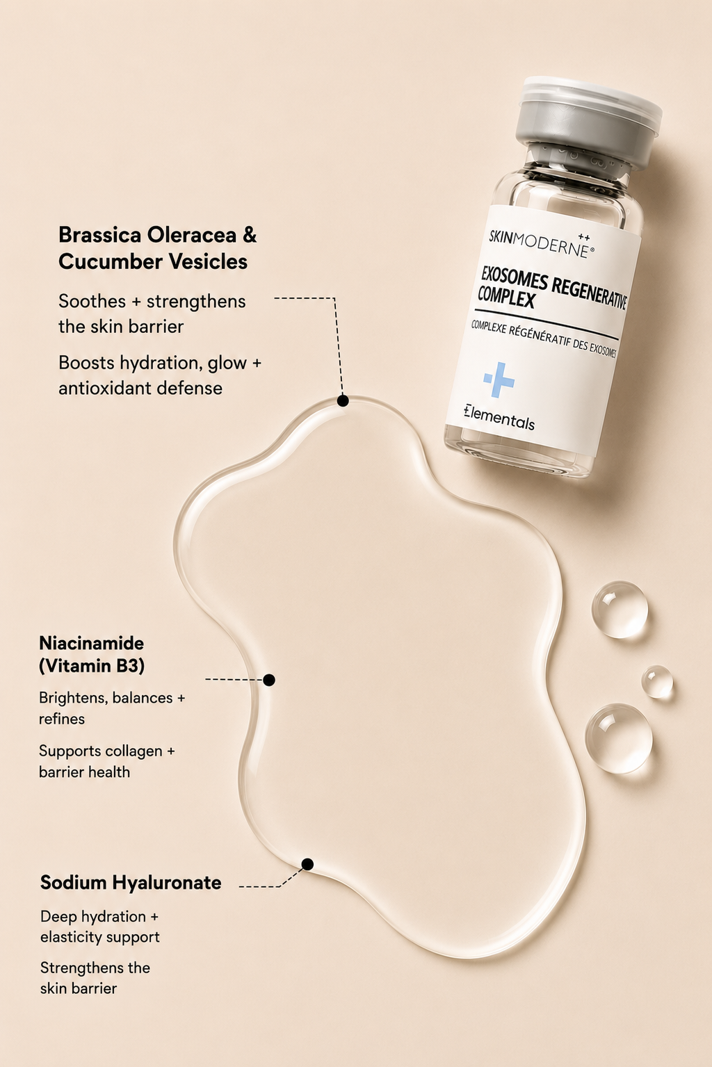 Cellular Reset - Longevity