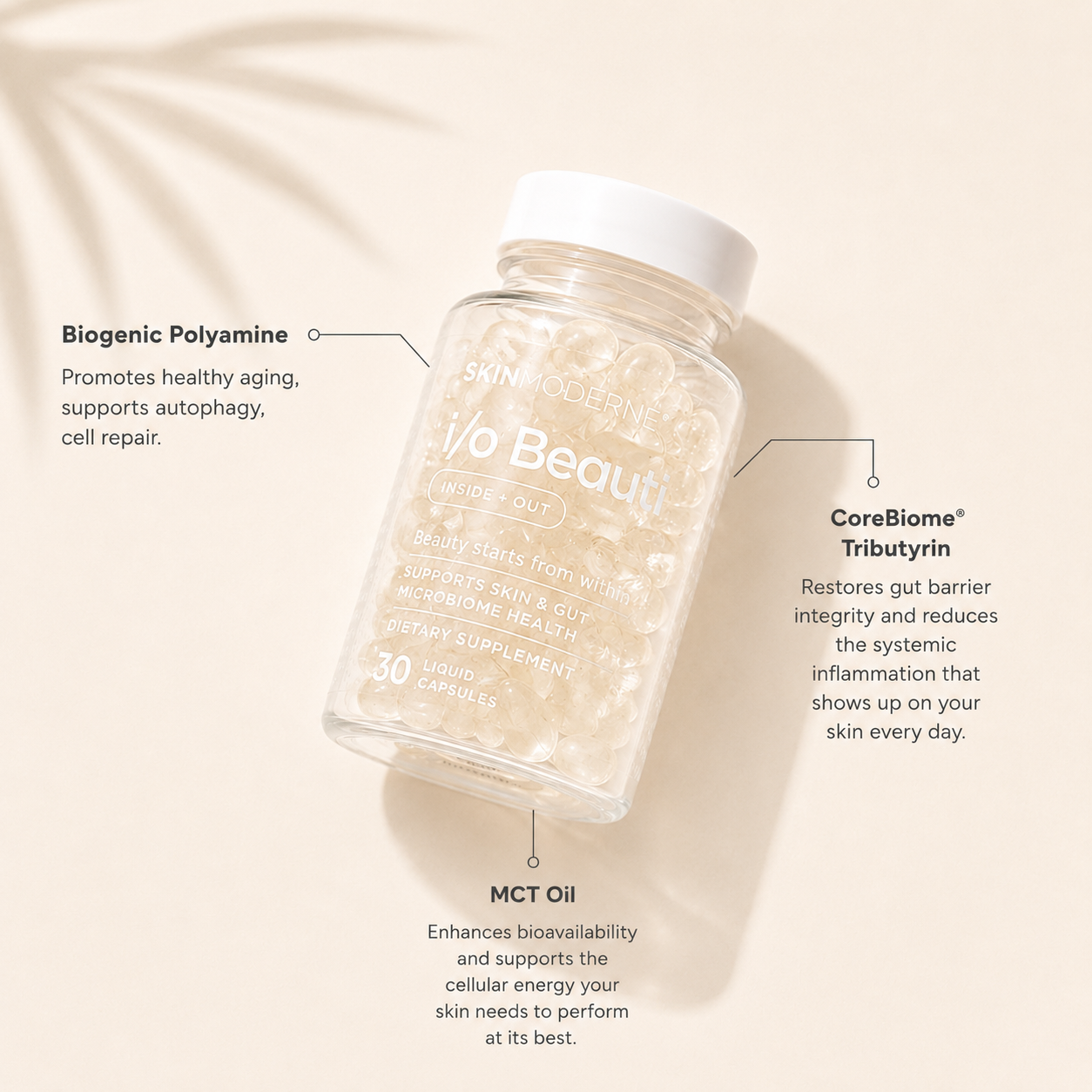 Cellular Reset - Longevity