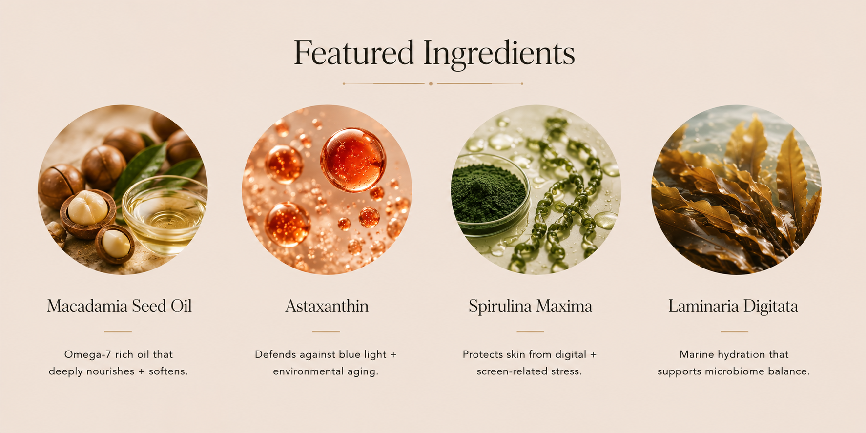 MOISTURE INFUSION