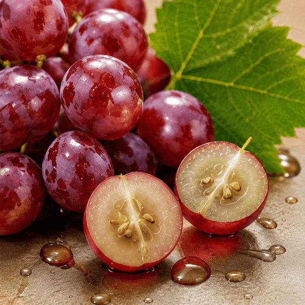 Resveratrol